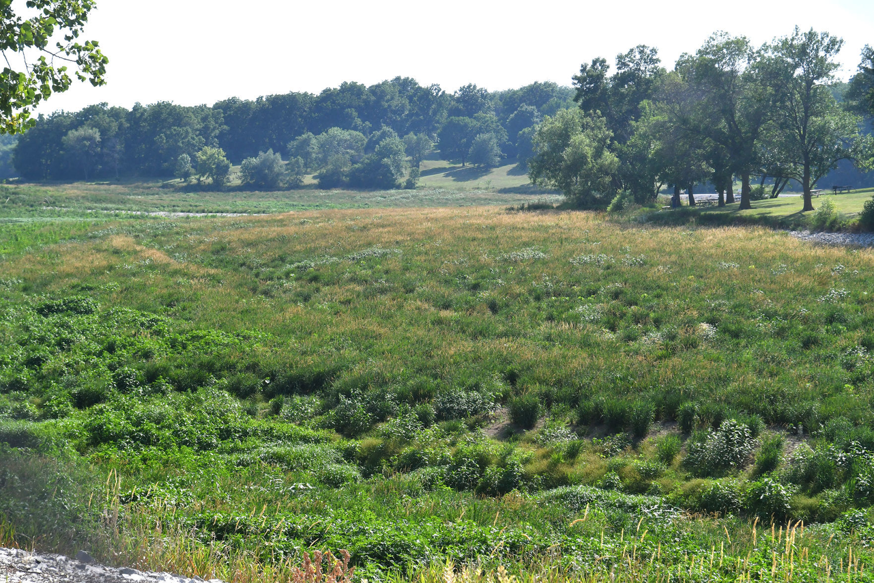 070820-qc-nws-standalone-050
